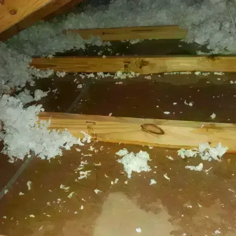 Attic Water Damage in Florence, OR