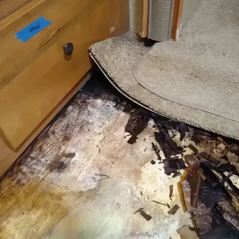 Wood Floor Water Damage in Florence, OR